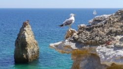 (2011-08) Vacances en Algarve